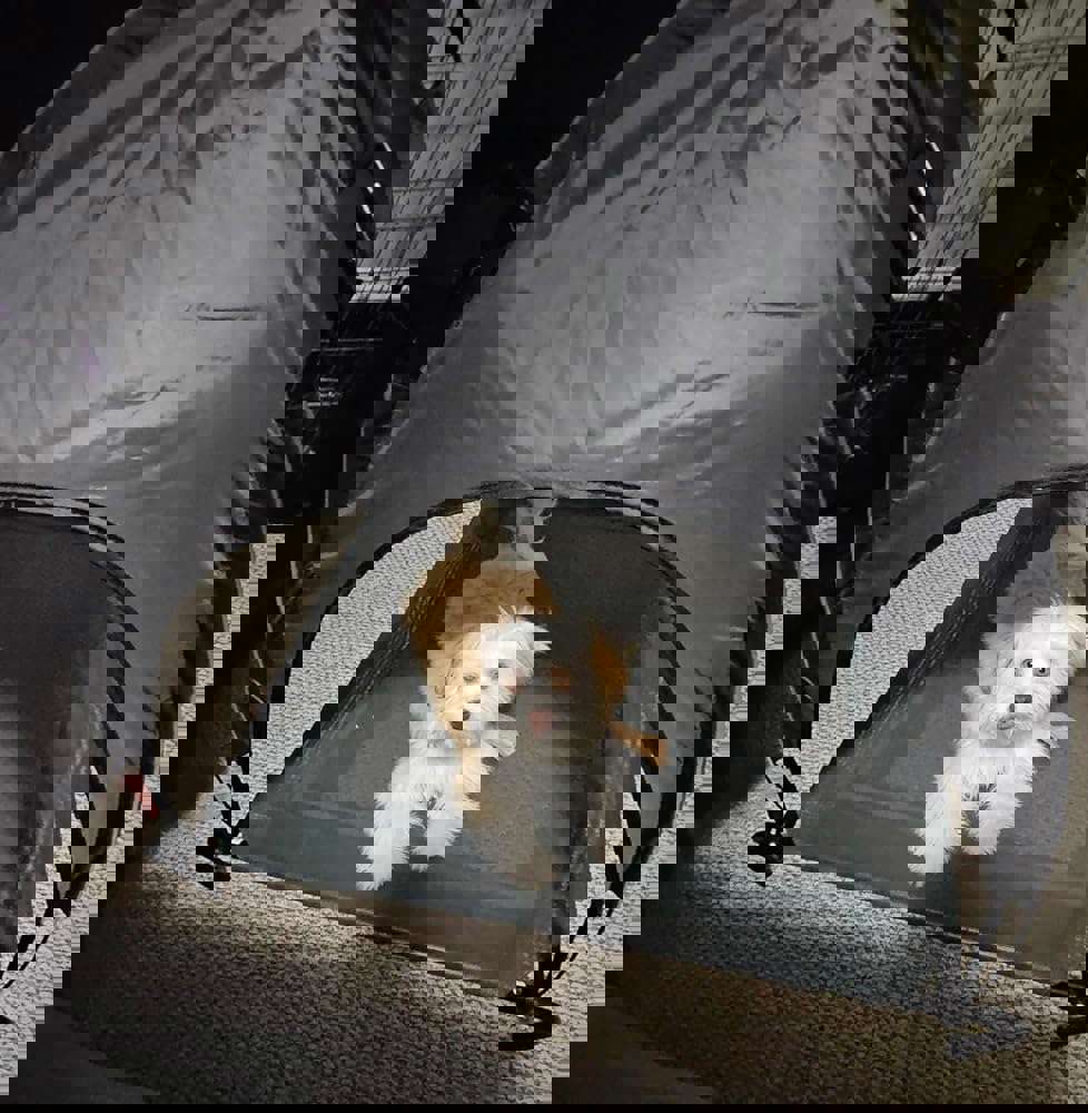 913079