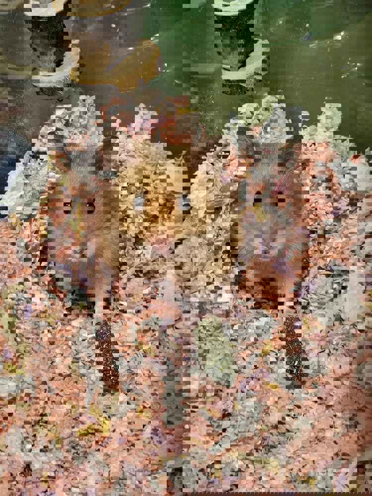 912155