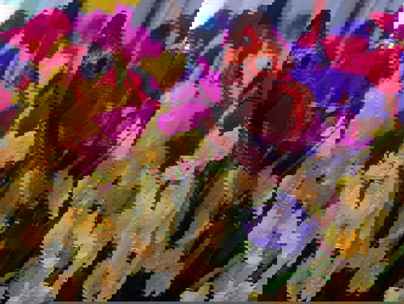 916285