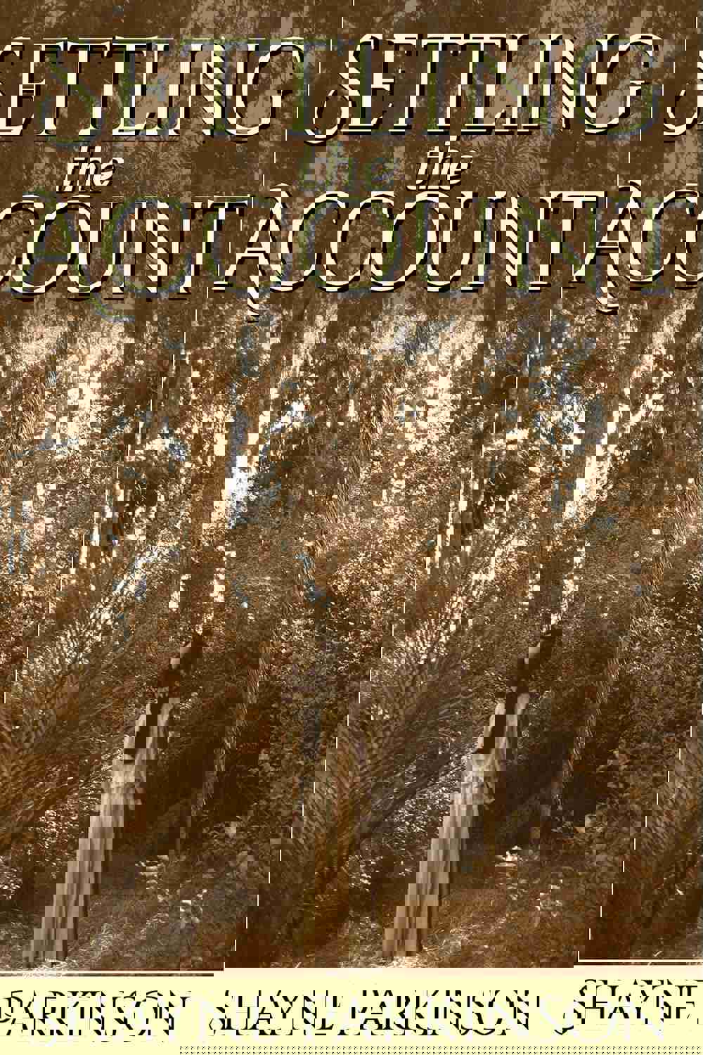 913396