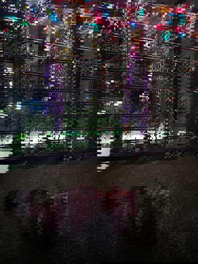 926777
