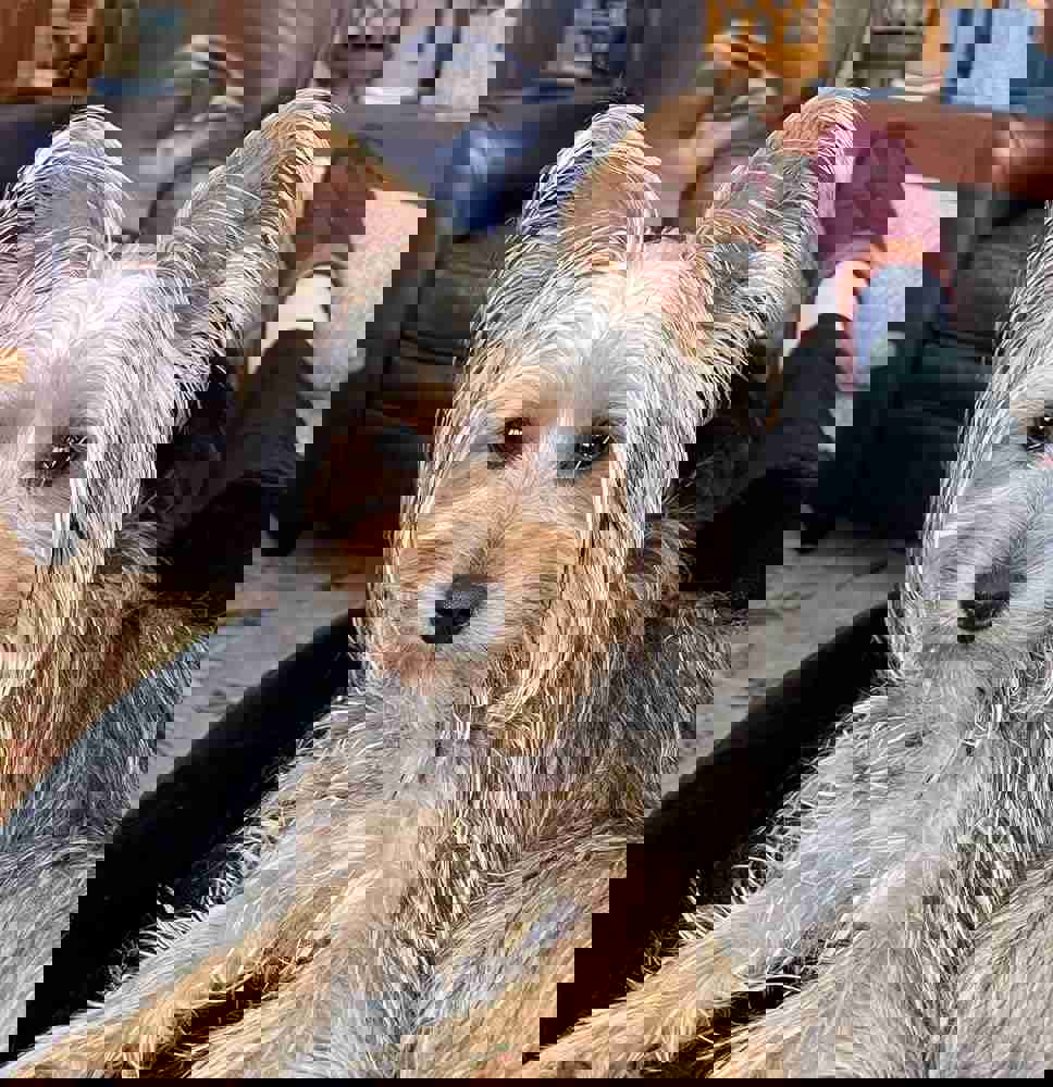 931685