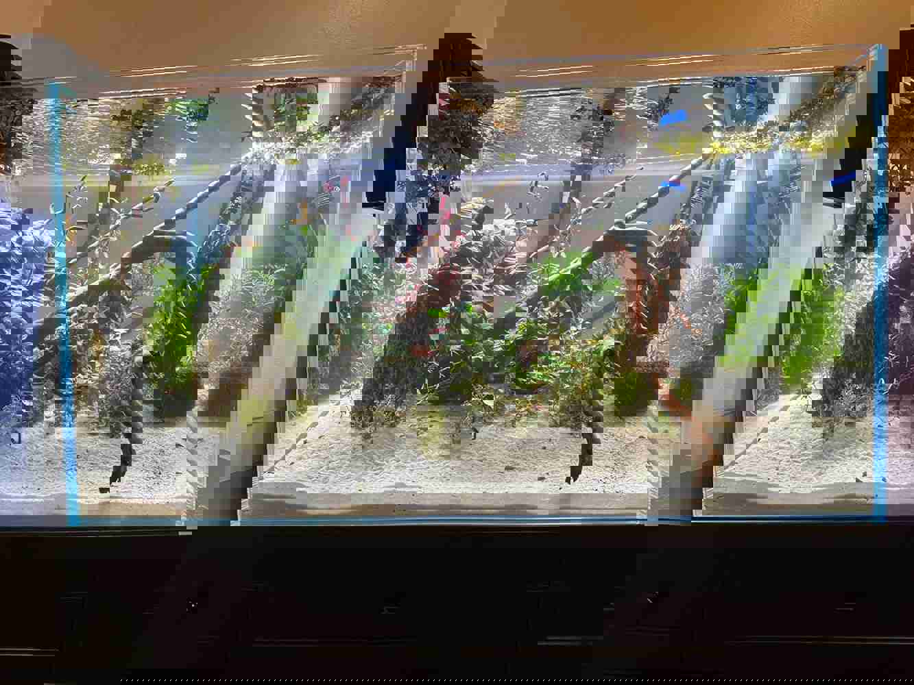 926561