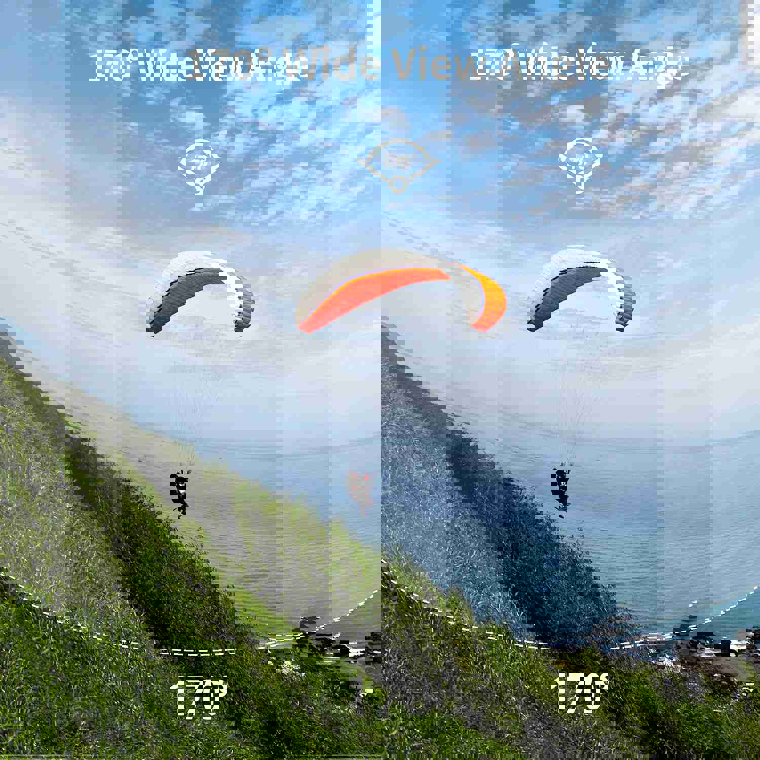 919203