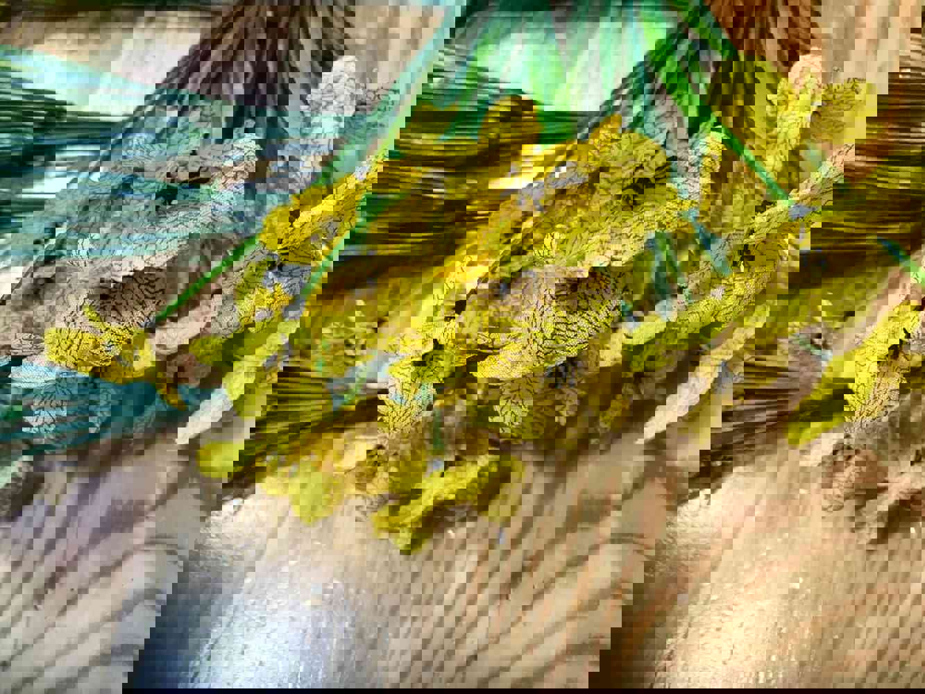 932952