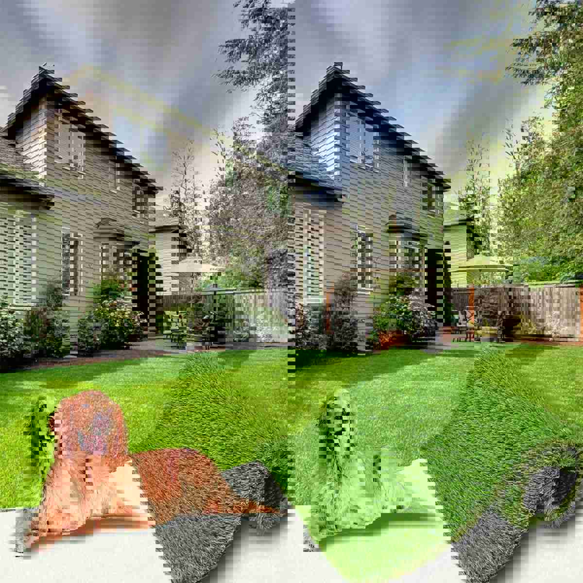 929419