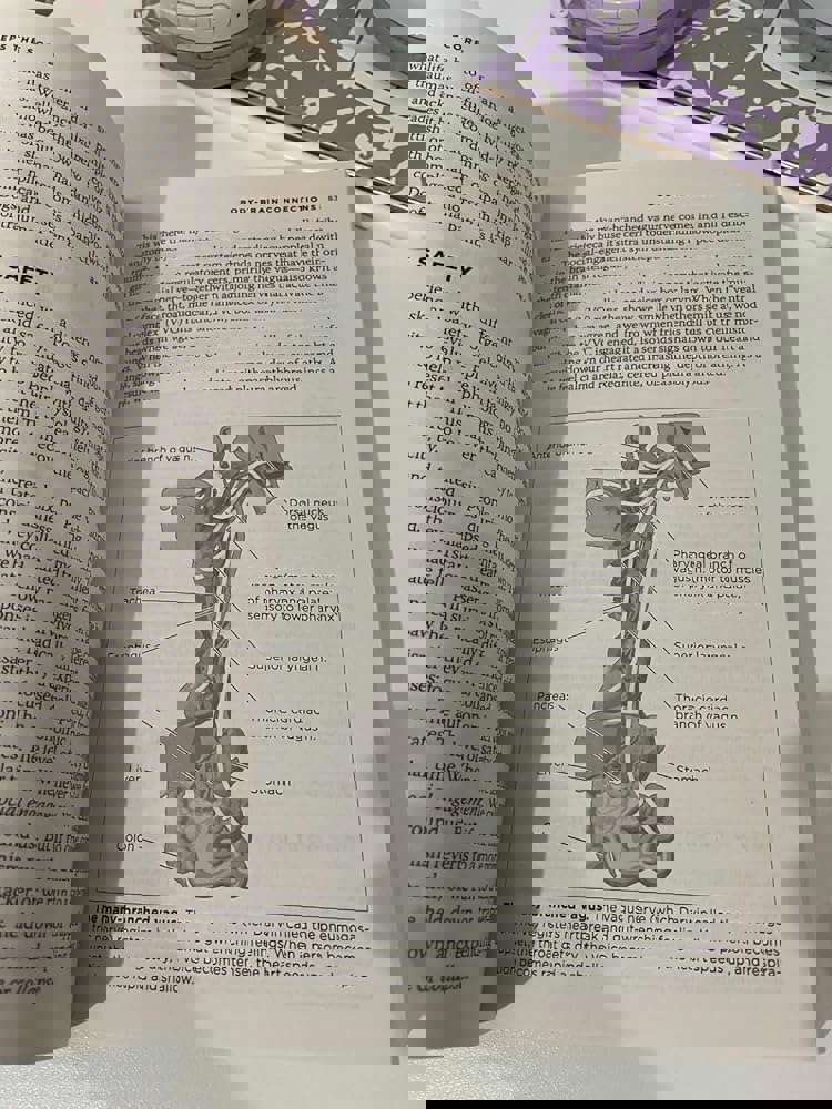 925985