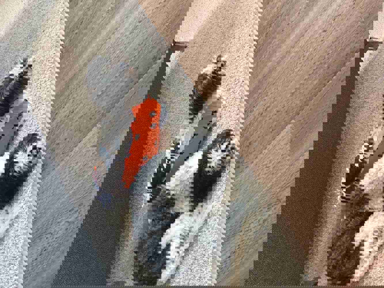 928192