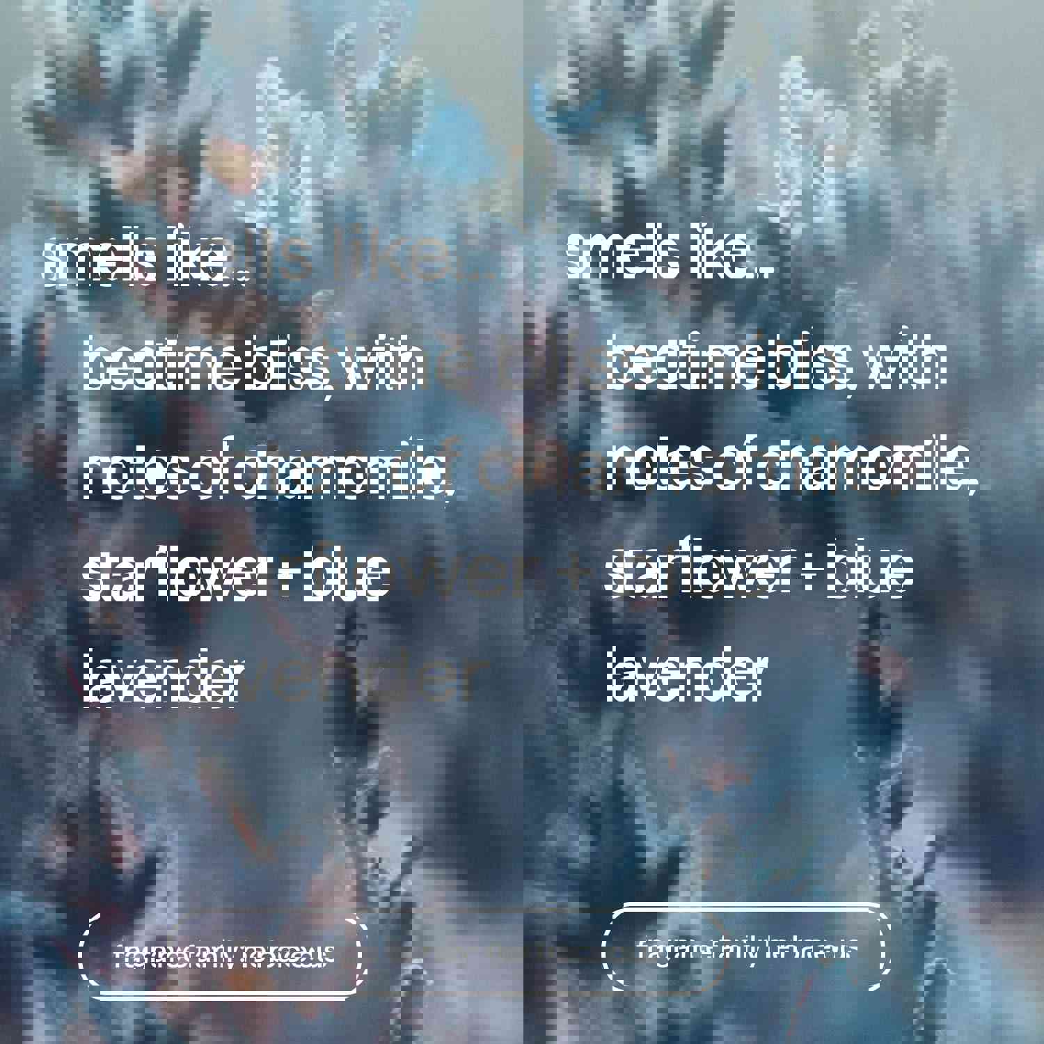926447