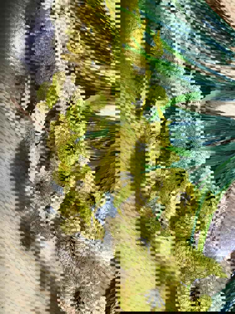 932951