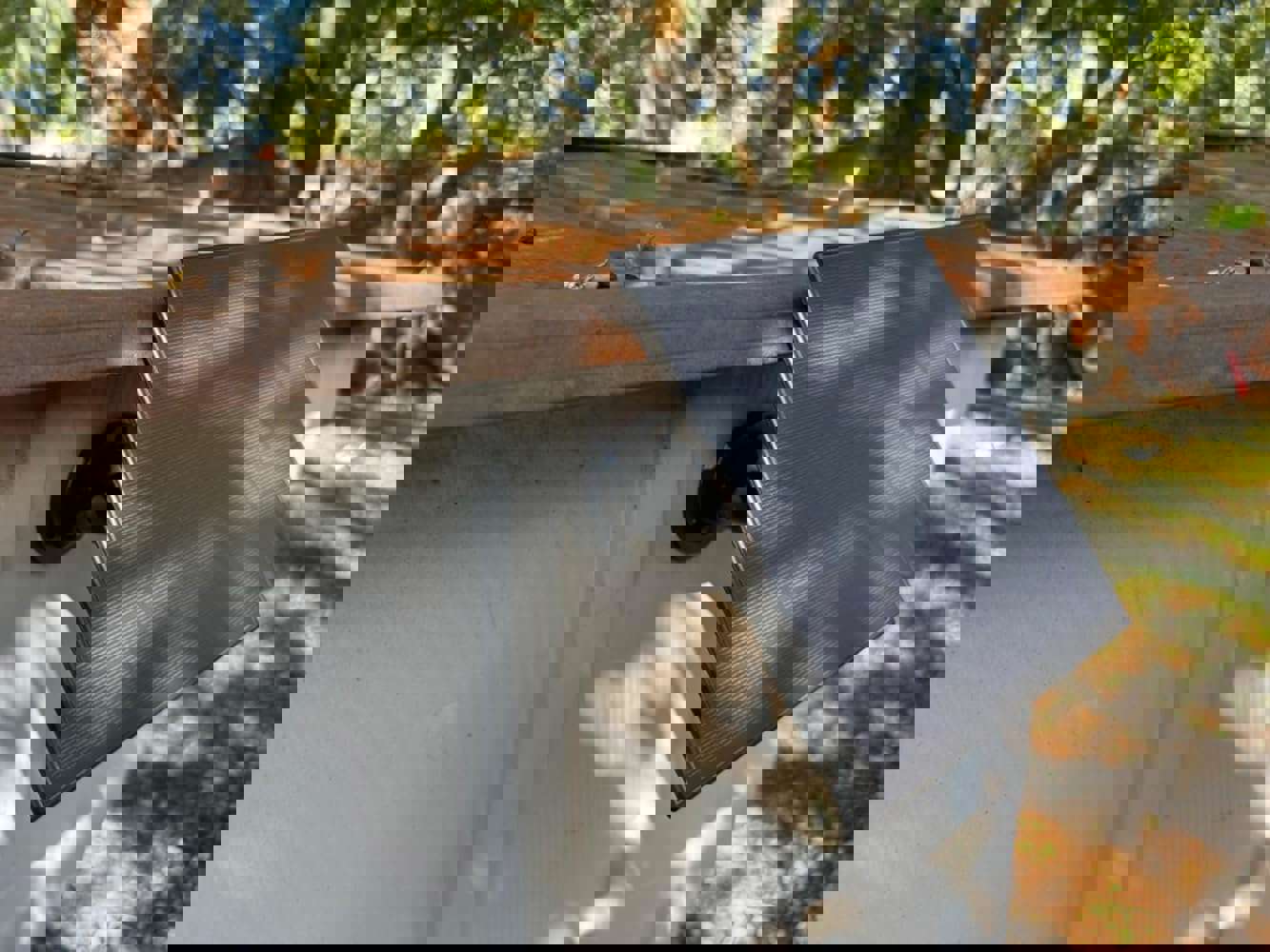 933196