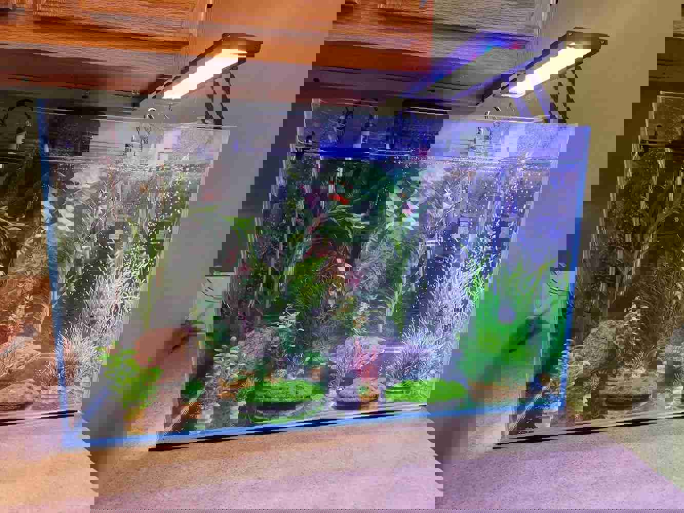 926560