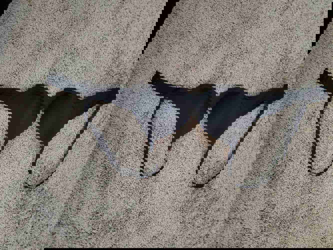 926631