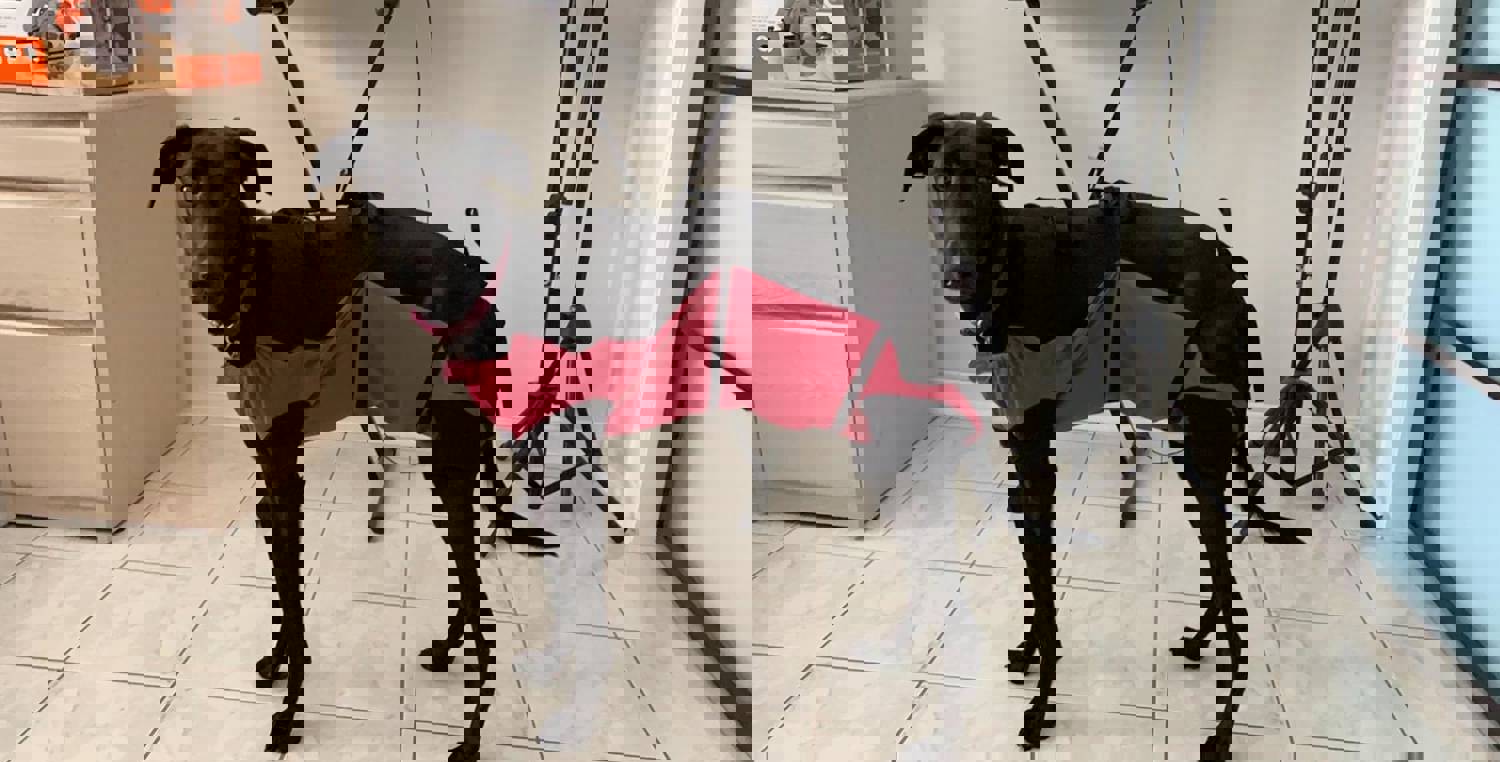 928195