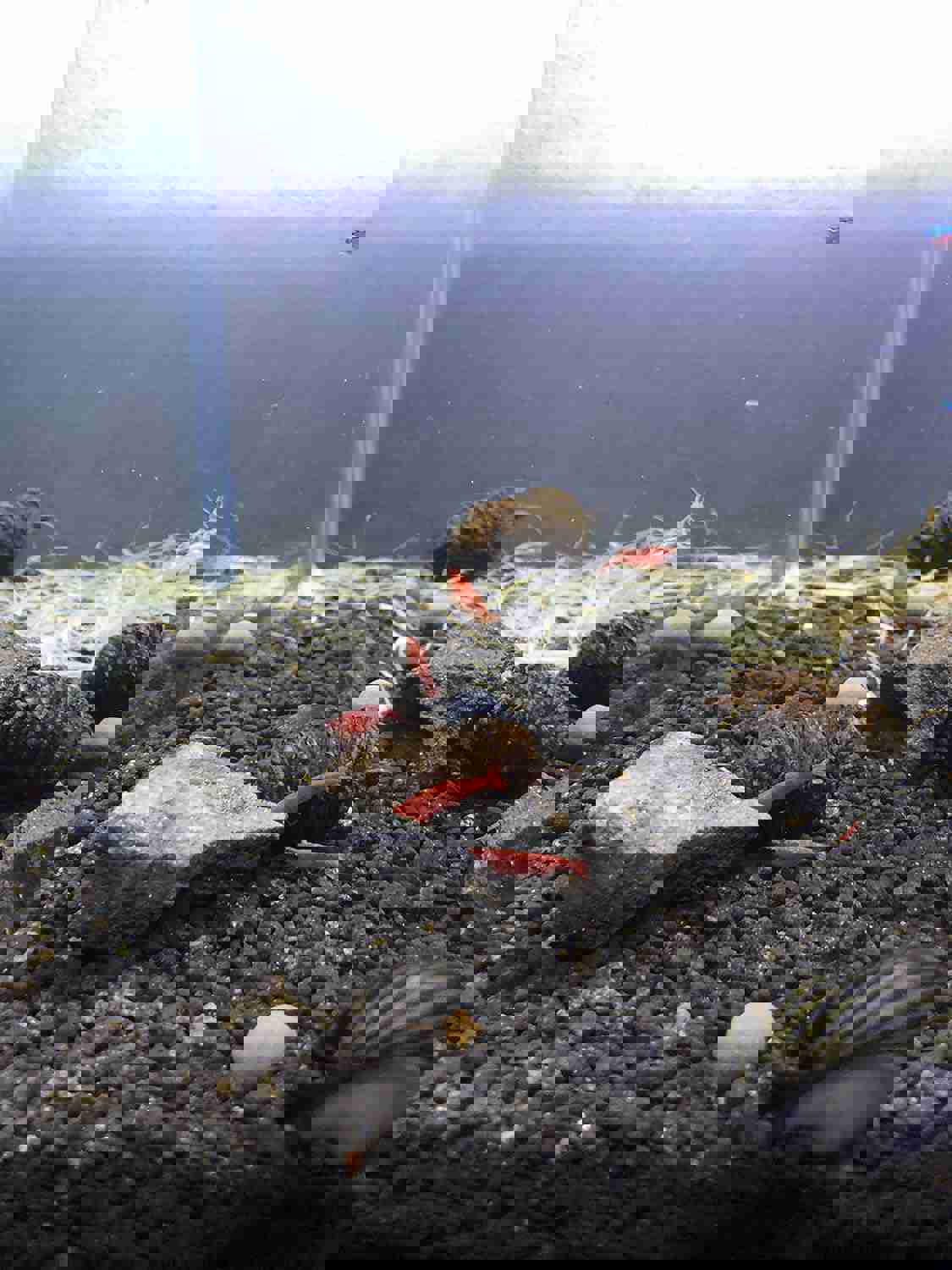 930351