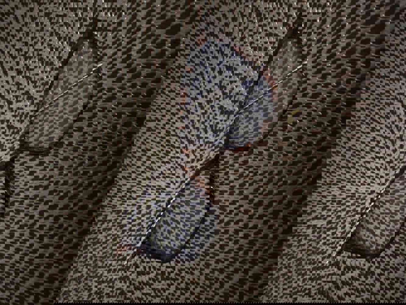 934555