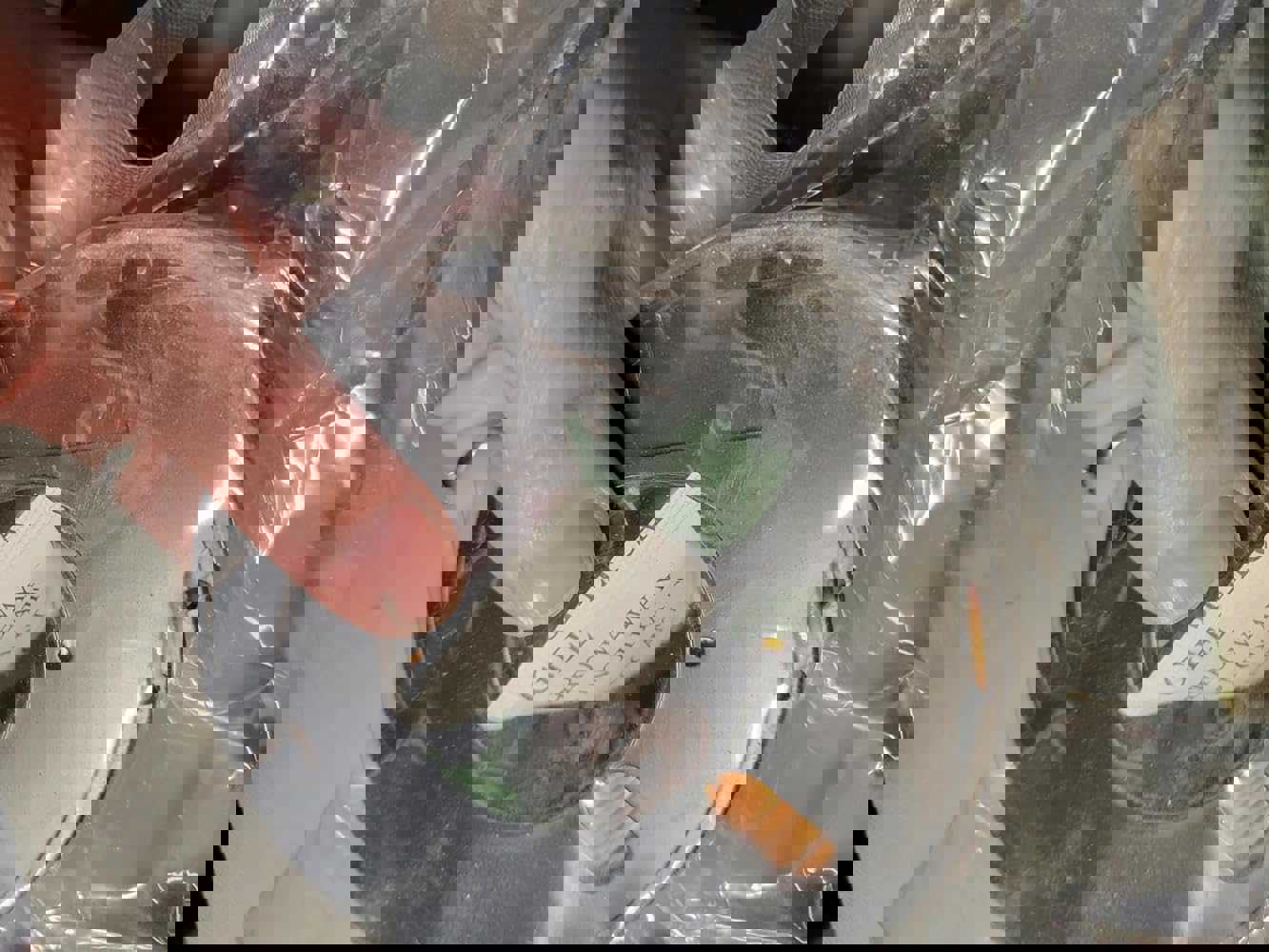 938363