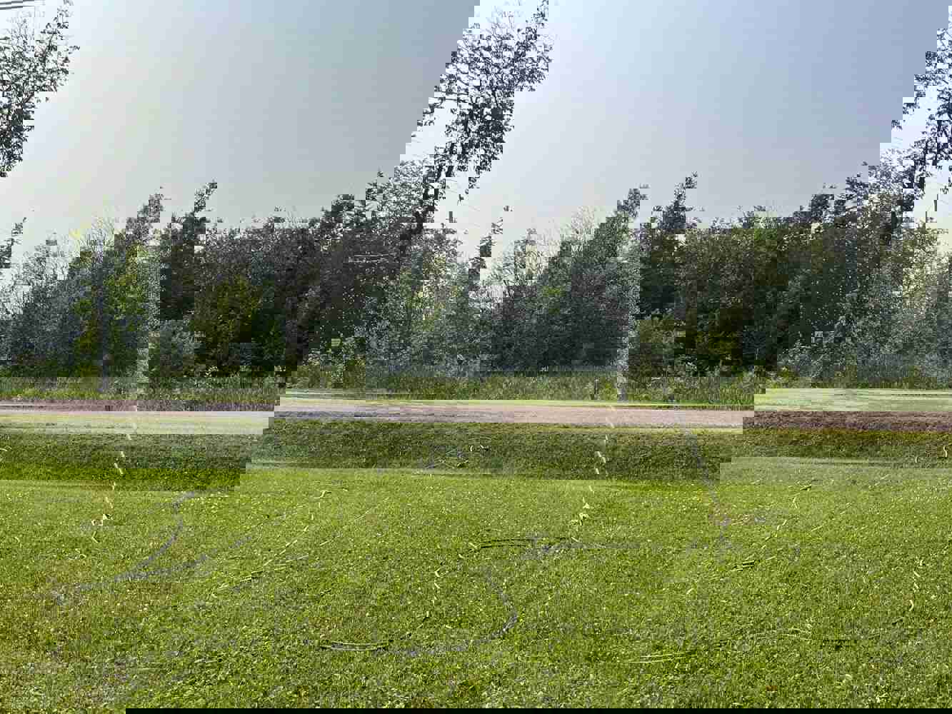 933597