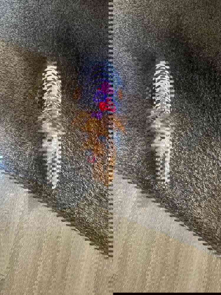 936177