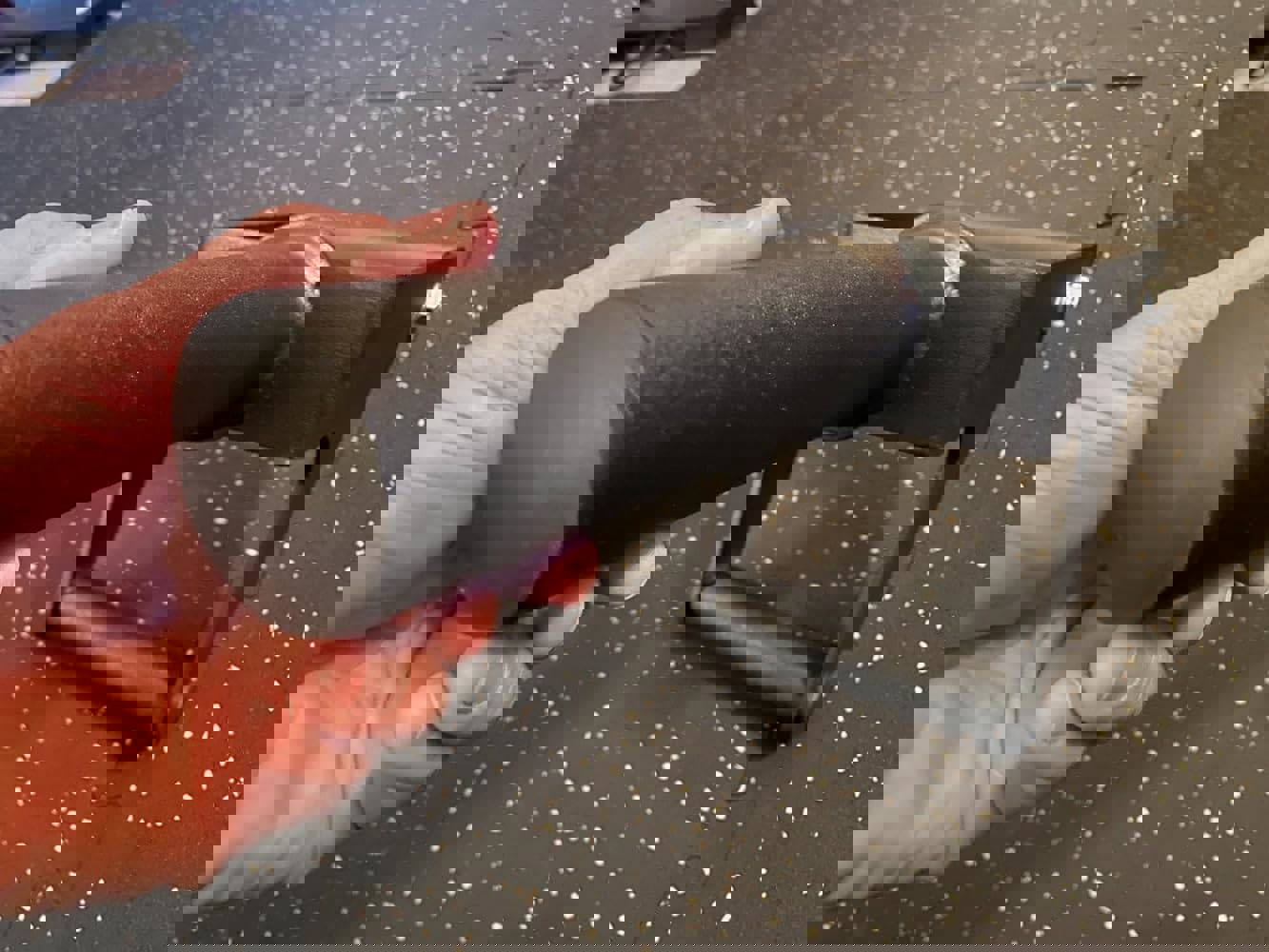 933415