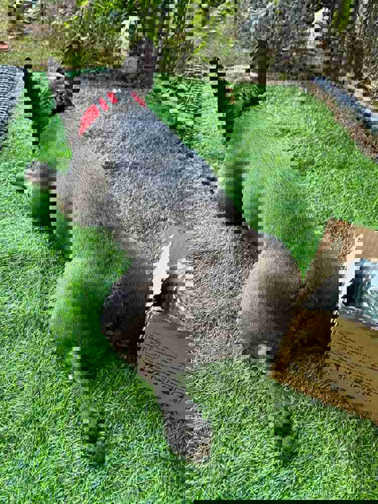 1062628