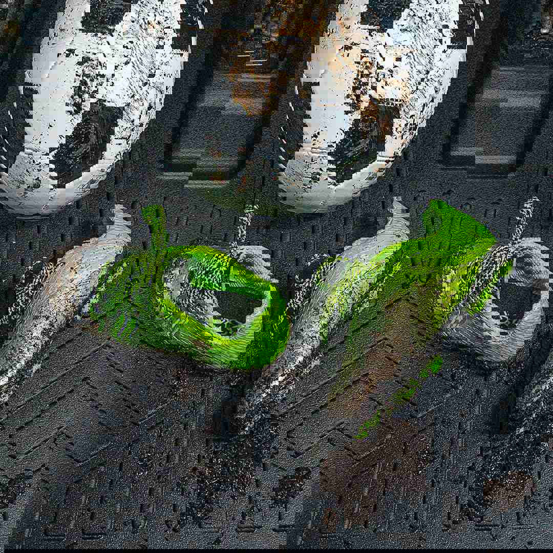 1064202