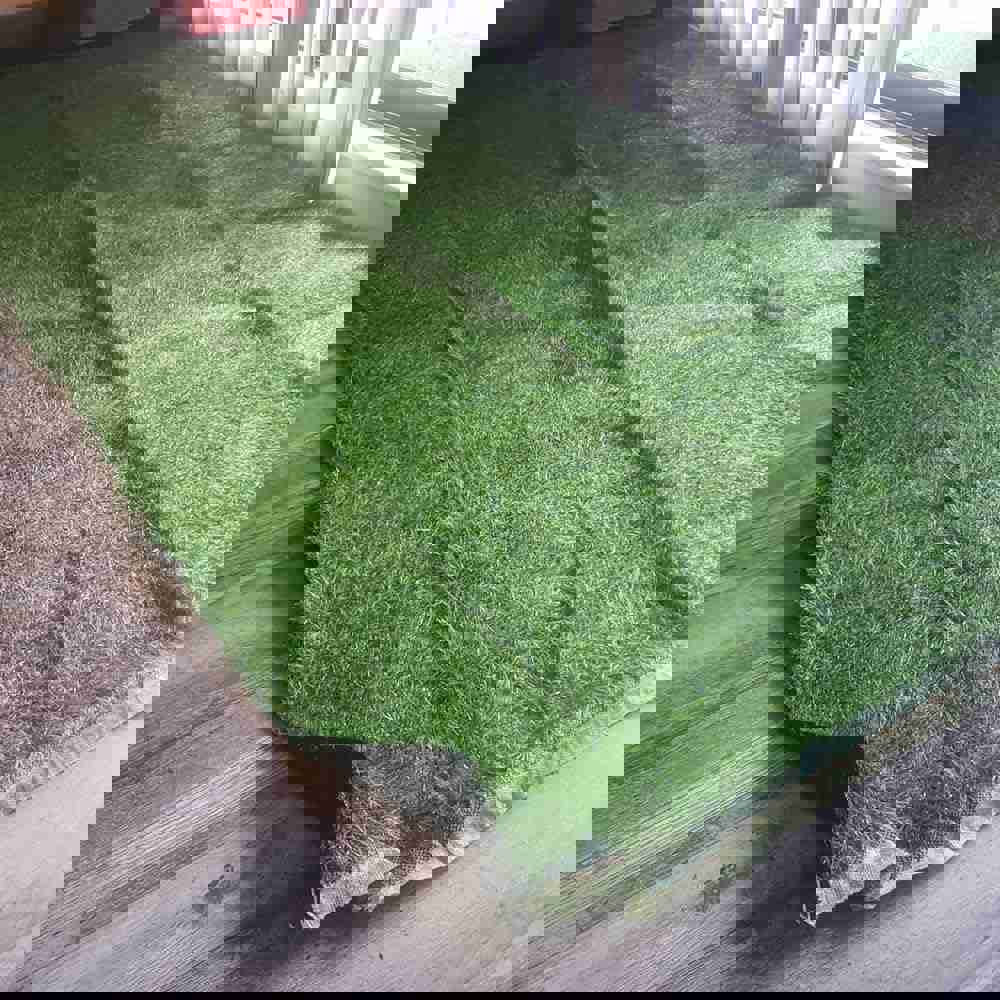 1062634