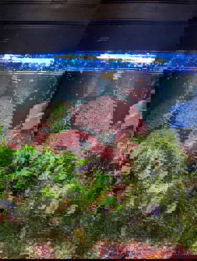 1063061