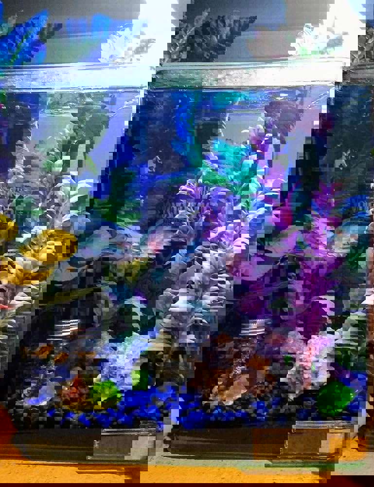 1061348