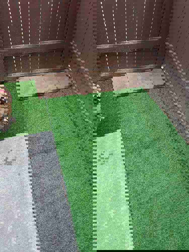1062629