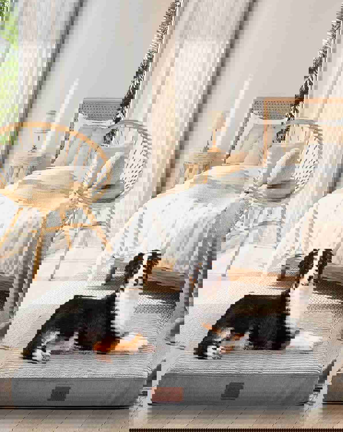 1064029