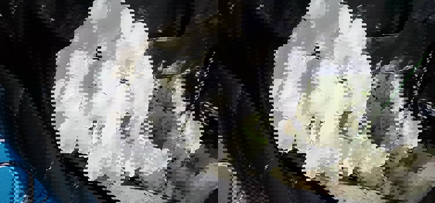 1064141