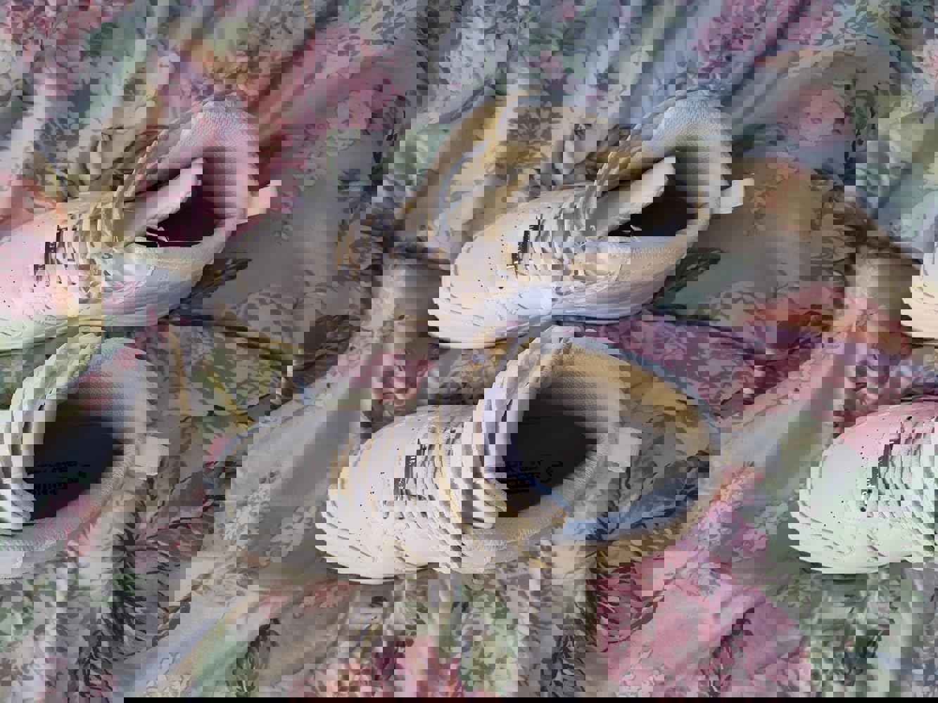 1064026