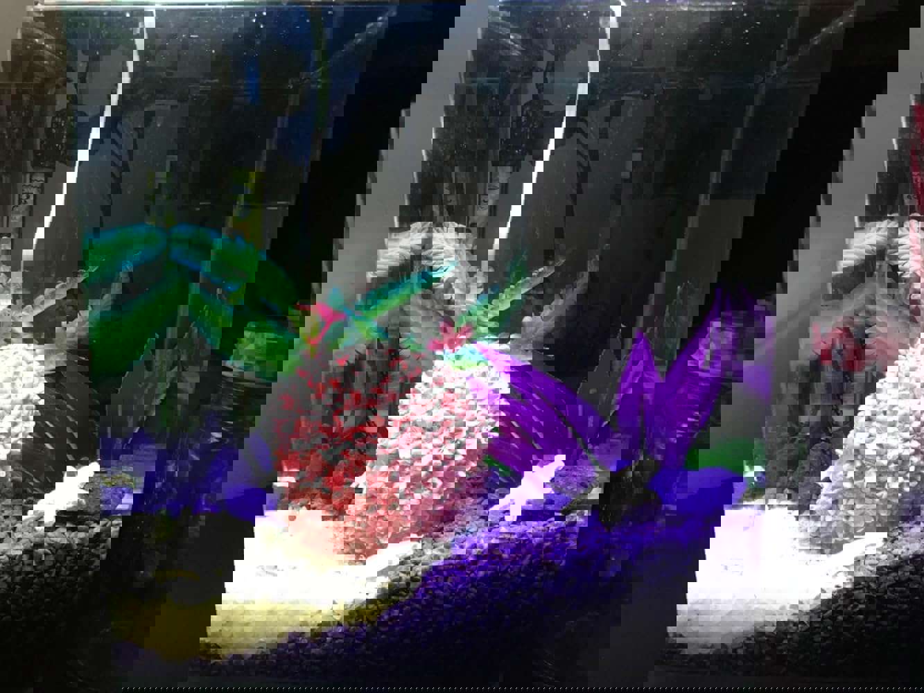 1061352