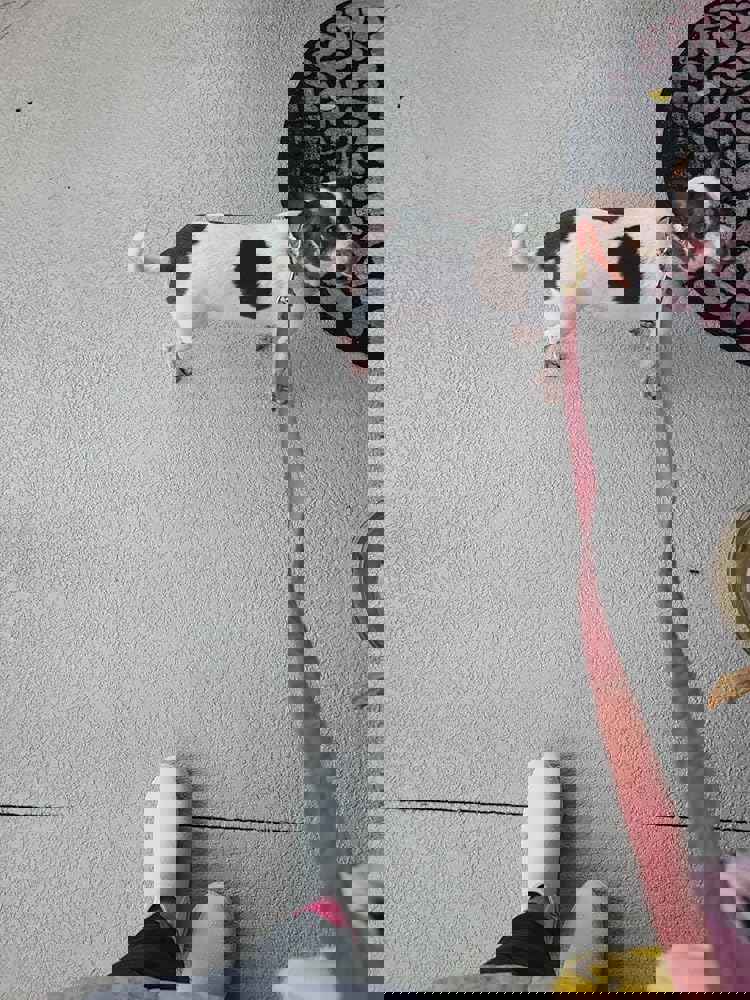 1099973