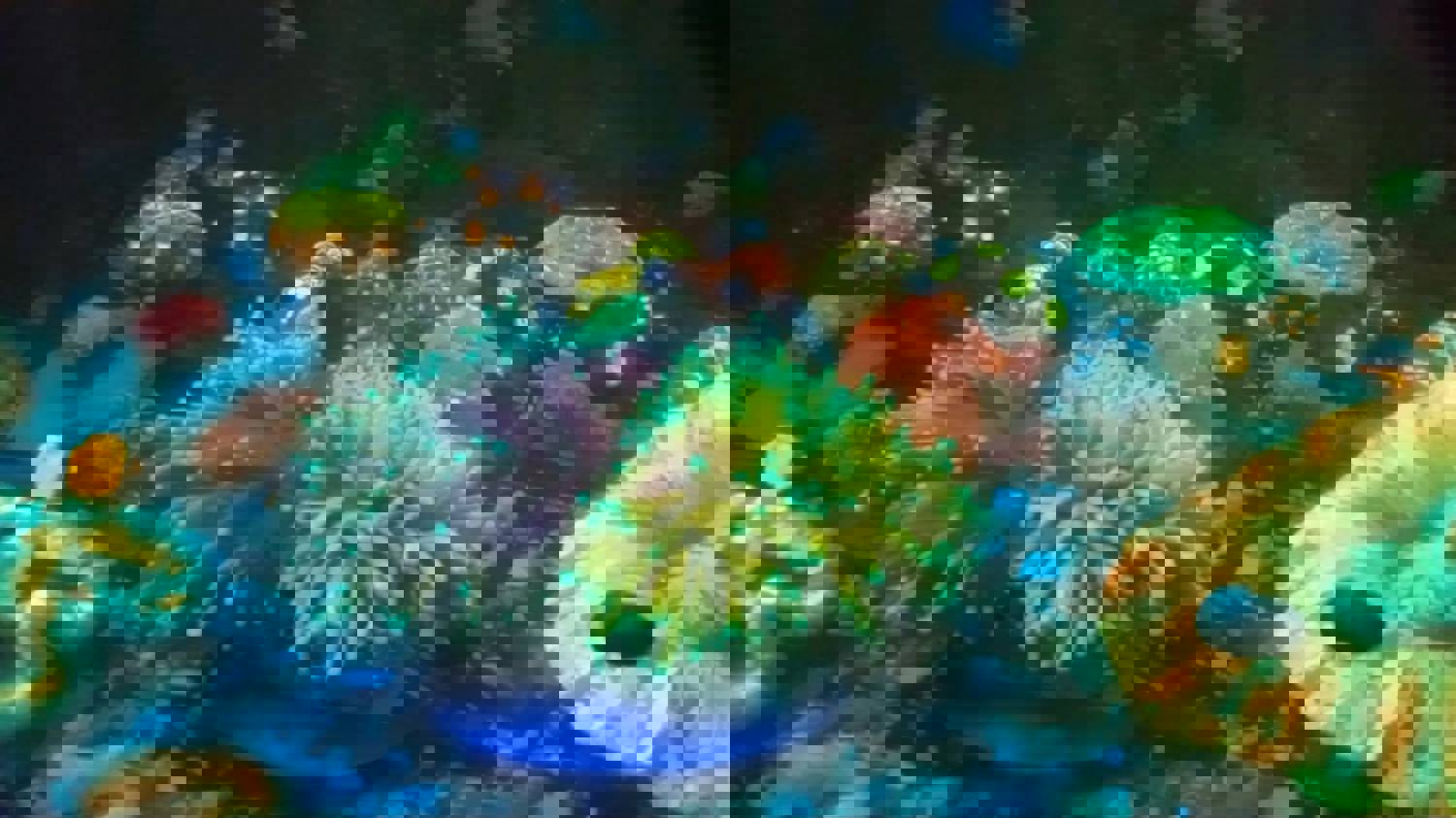 1100178