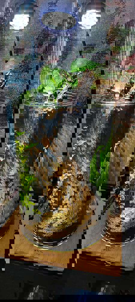 1103707