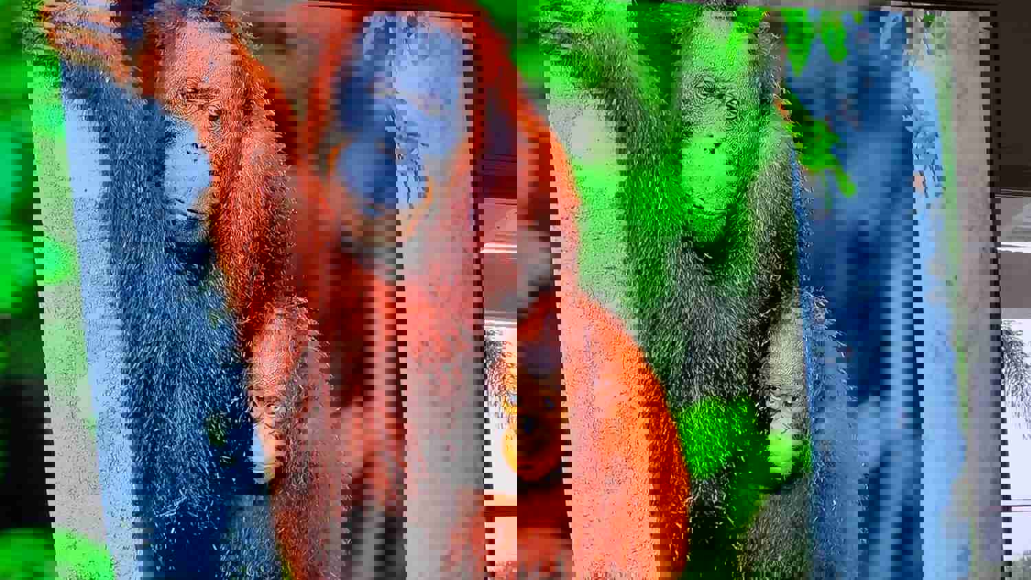 1101327