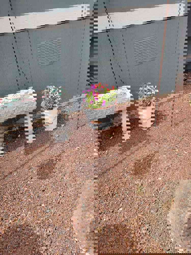 1102774