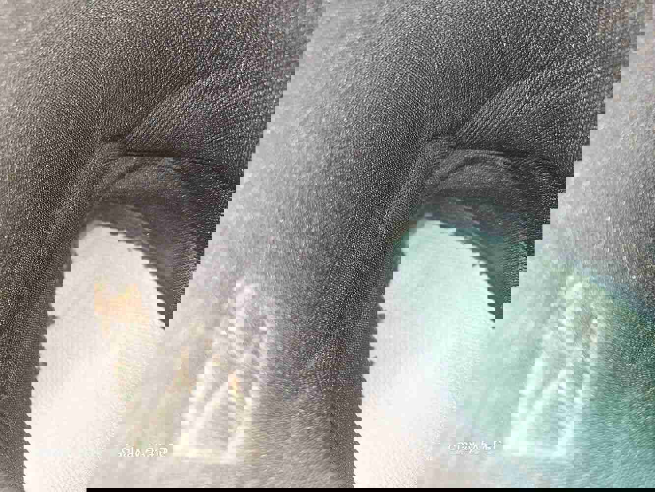 1099961