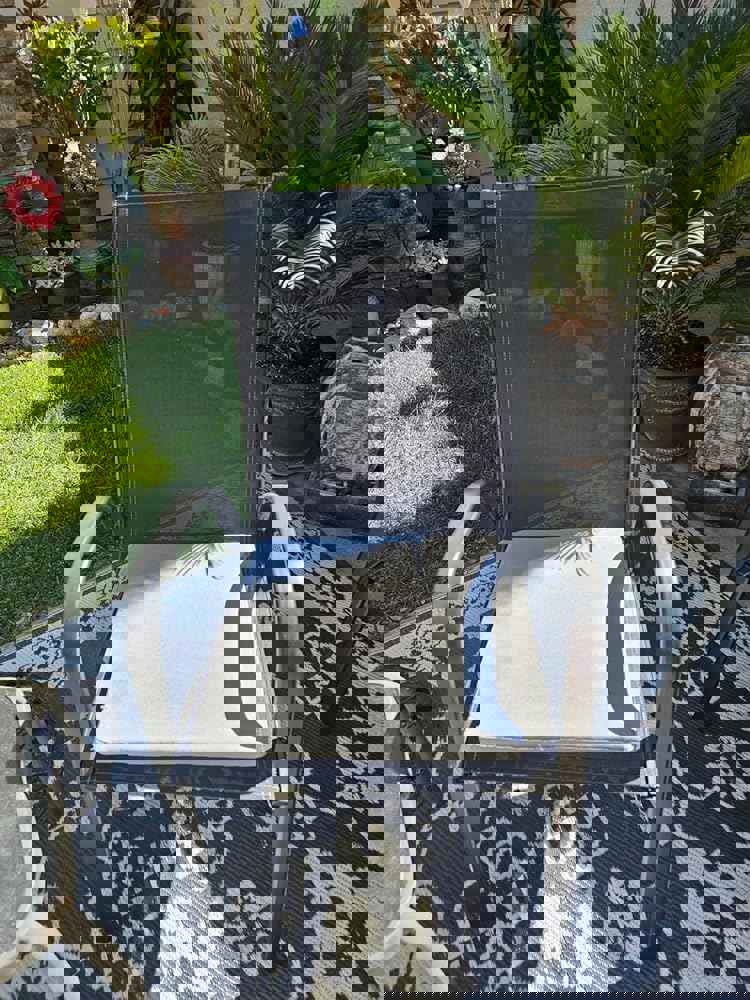 1100232