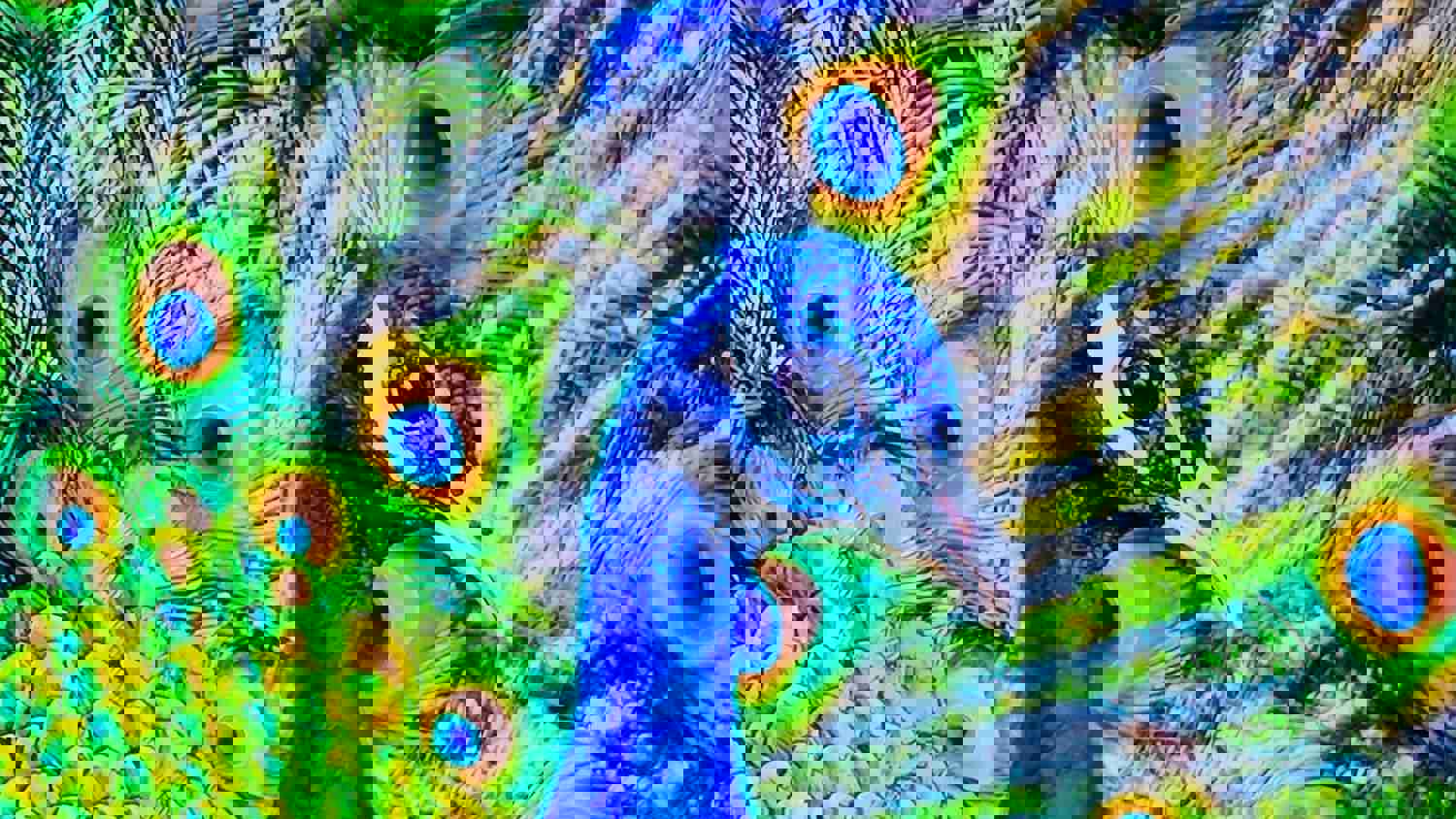 1101328