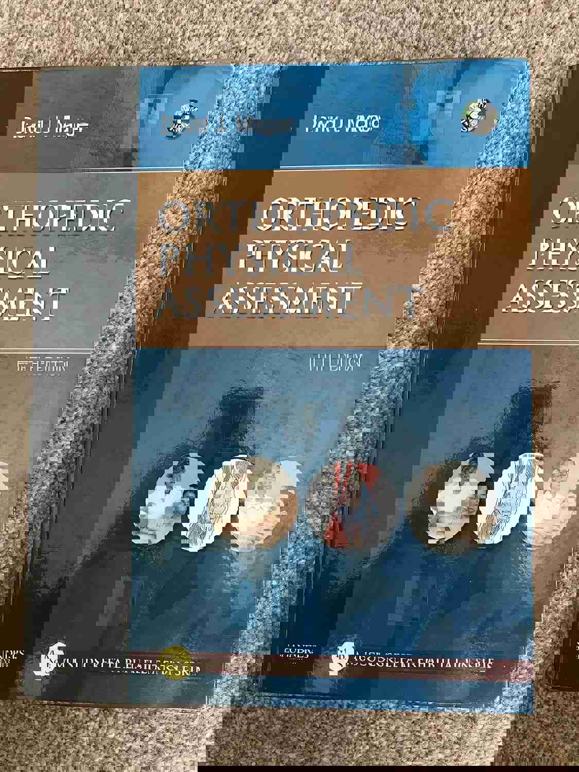 1101916