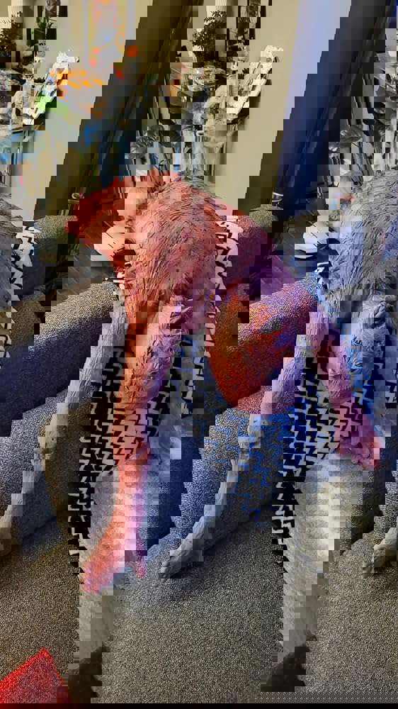 1103556