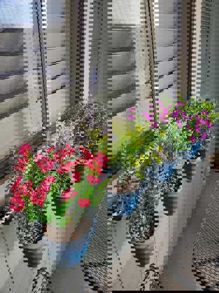 1102816