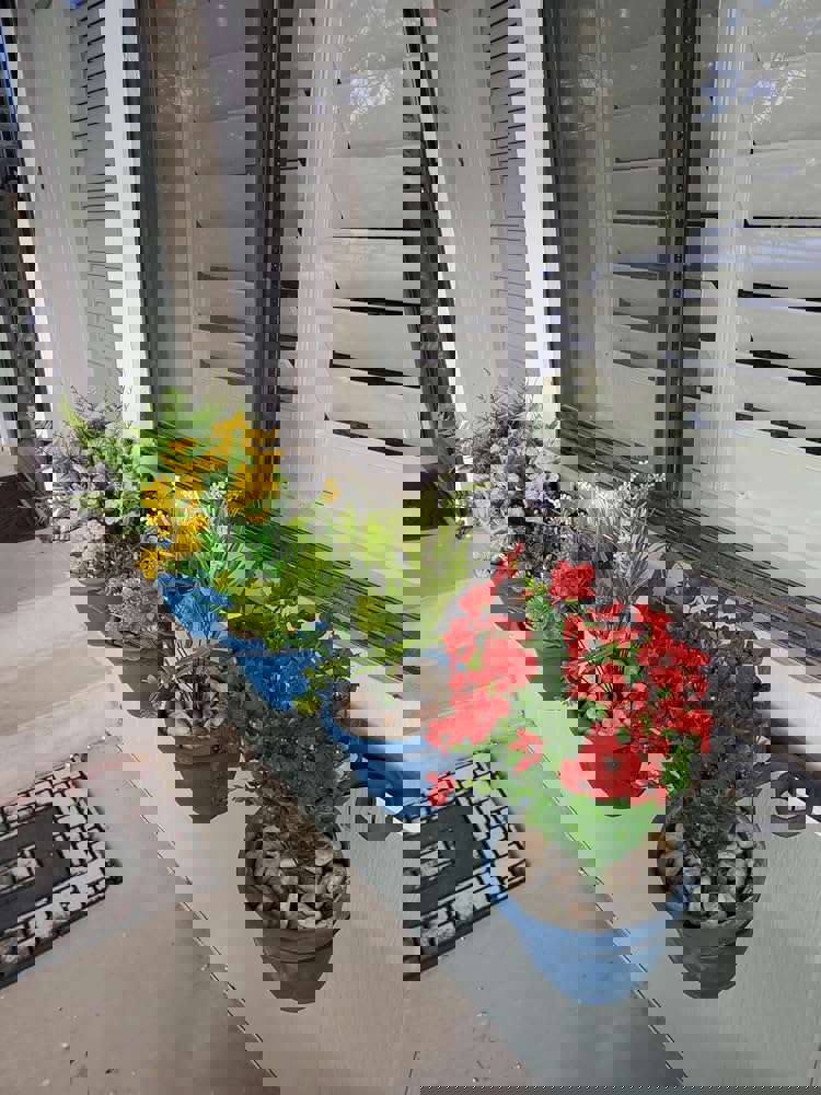 1102817