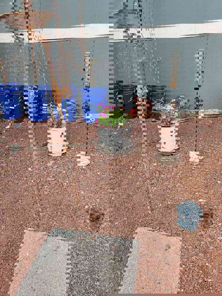 1102773