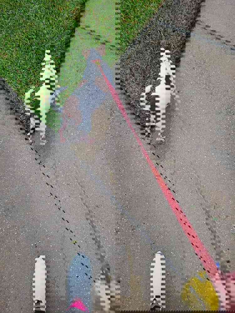 1099974