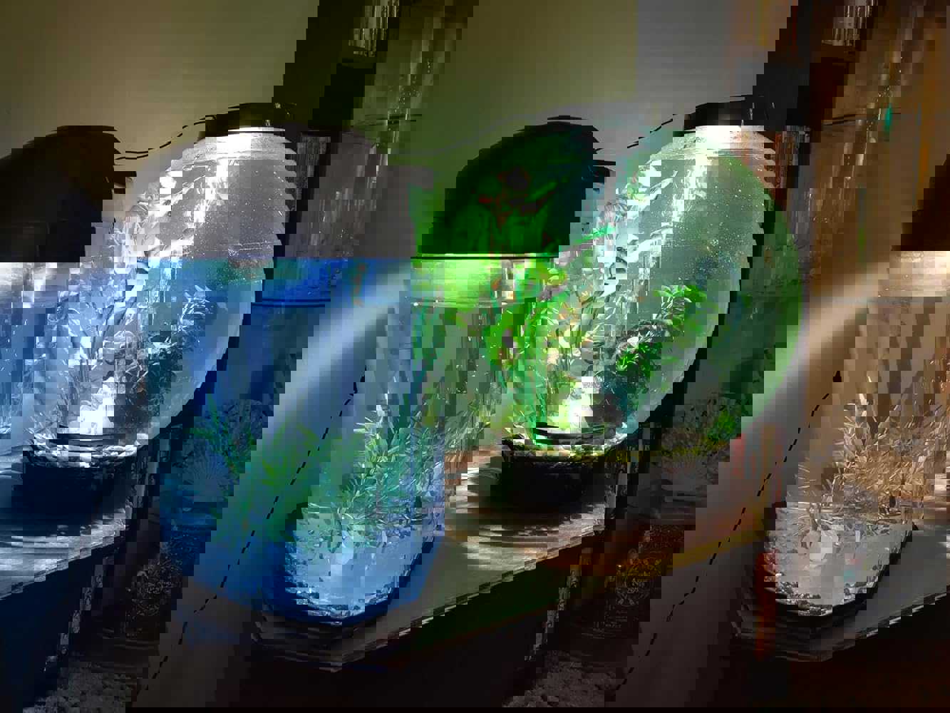 1101230