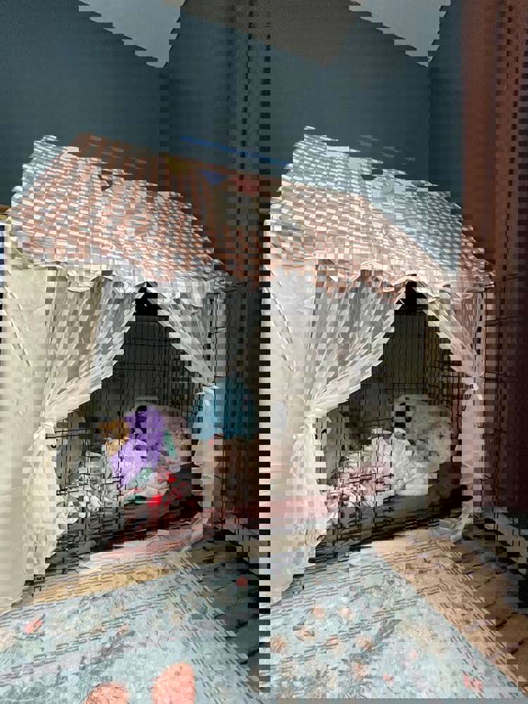1101297